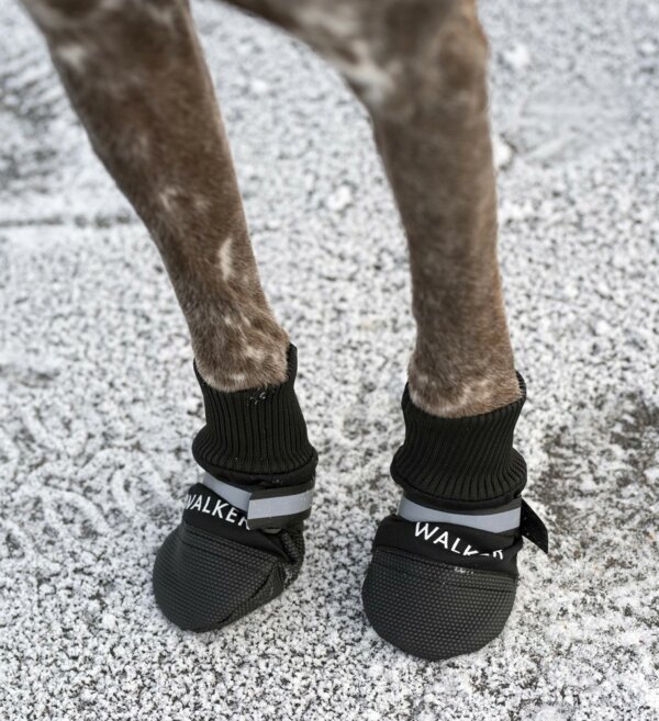 Walker Comfort Hundskor S 2-p - Image 7